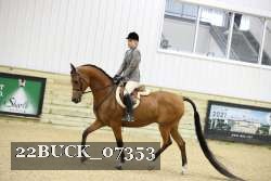 22BUCK_07353 proof