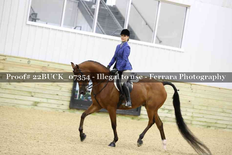 Proof 22BUCK_07354