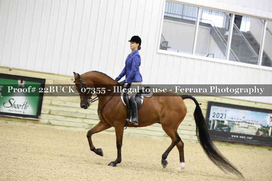 Proof 22BUCK_07355