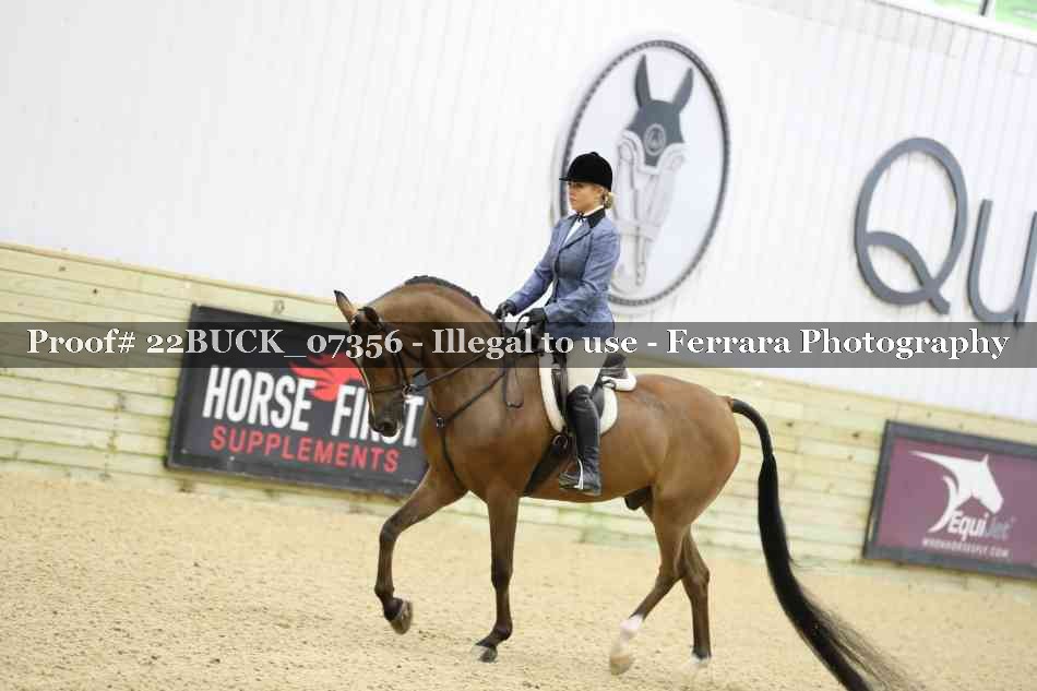 Proof 22BUCK_07356