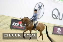 22BUCK_07356 proof