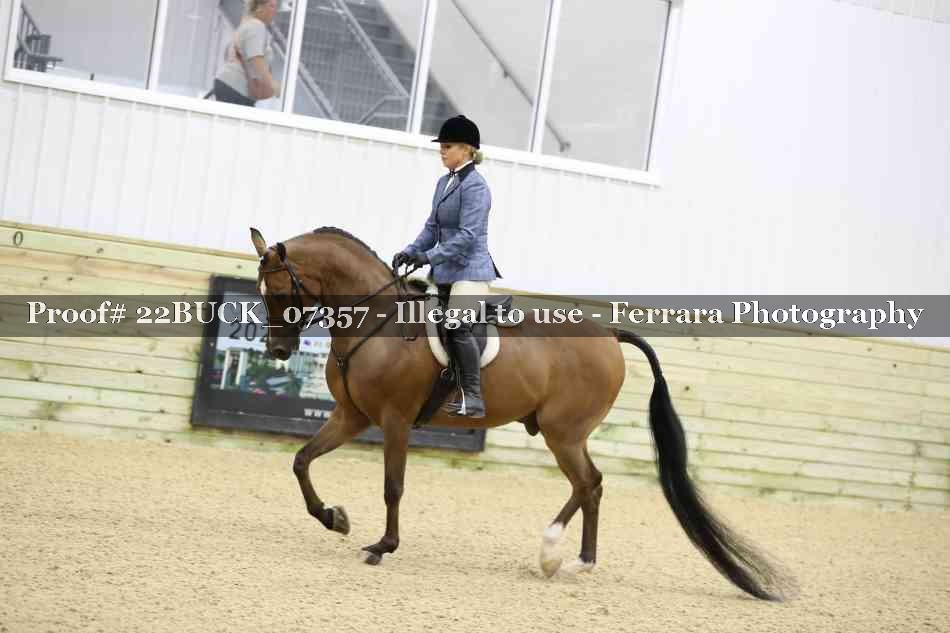 Proof 22BUCK_07357