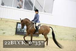 22BUCK_07357 proof