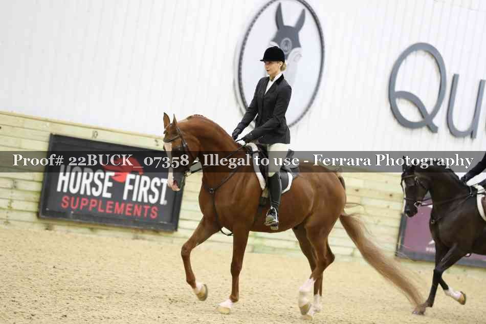 Proof 22BUCK_07358