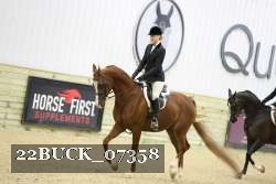 22BUCK_07358 proof