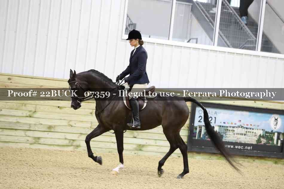 Proof 22BUCK_07359