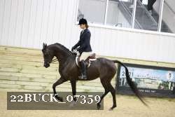 22BUCK_07359 proof