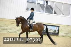 22BUCK_07361 proof