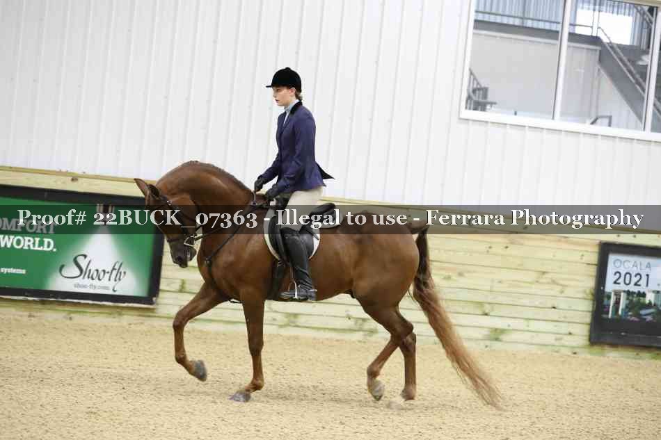Proof 22BUCK_07363