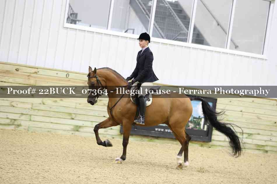 Proof 22BUCK_07364