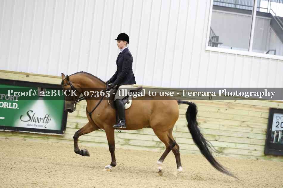 Proof 22BUCK_07365