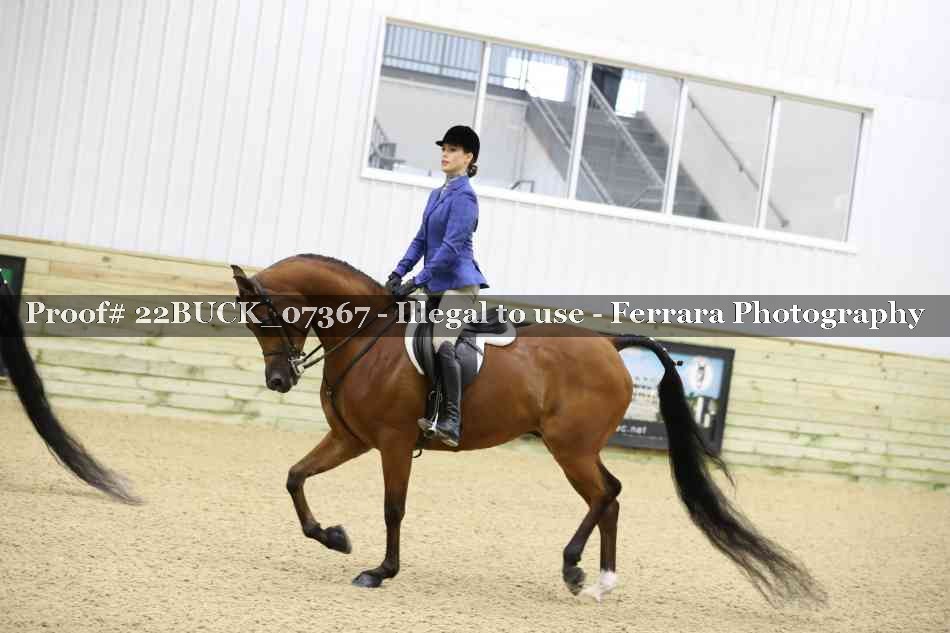 Proof 22BUCK_07367
