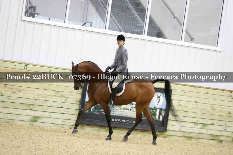 Proof 22BUCK_07369
