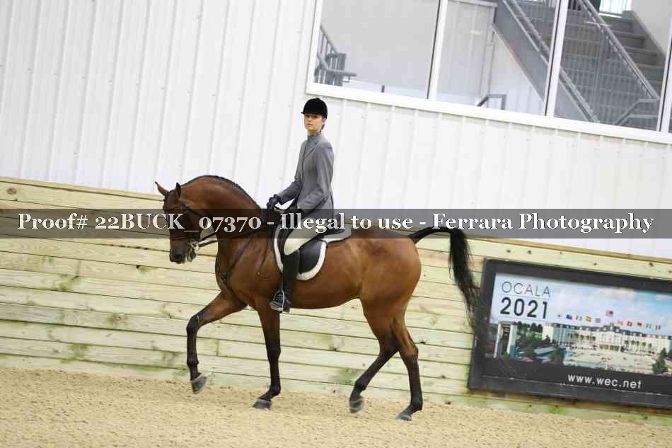 Proof 22BUCK_07370