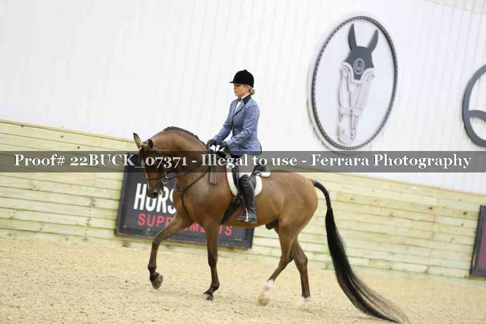 Proof 22BUCK_07371