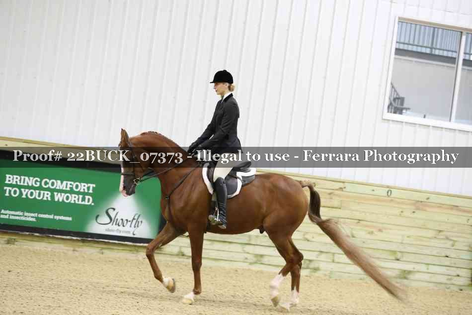 Proof 22BUCK_07373