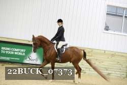 22BUCK_07373 proof