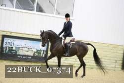 22BUCK_07374 proof