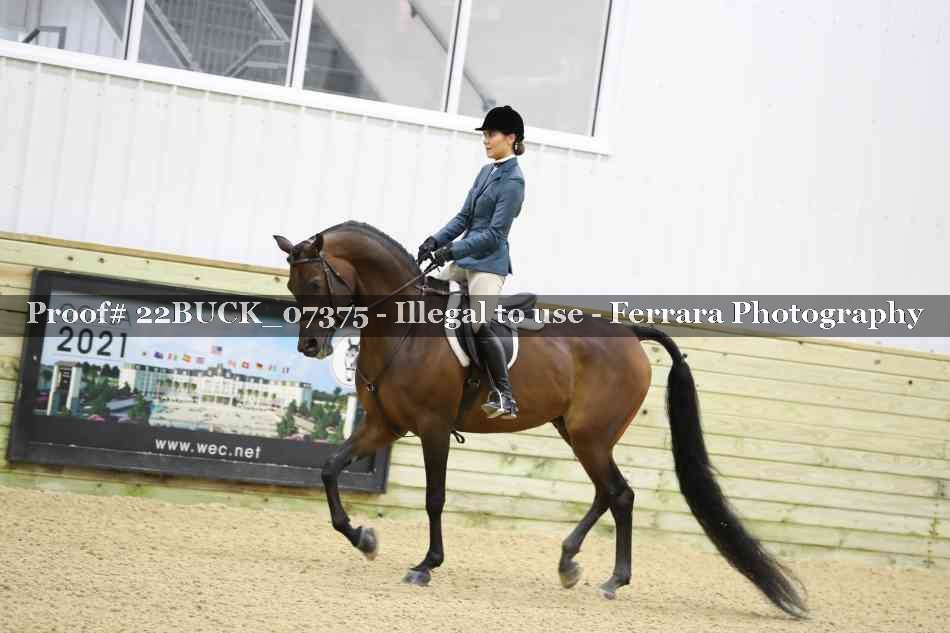Proof 22BUCK_07375