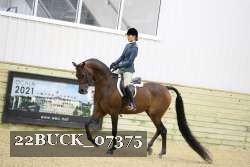 22BUCK_07375 proof