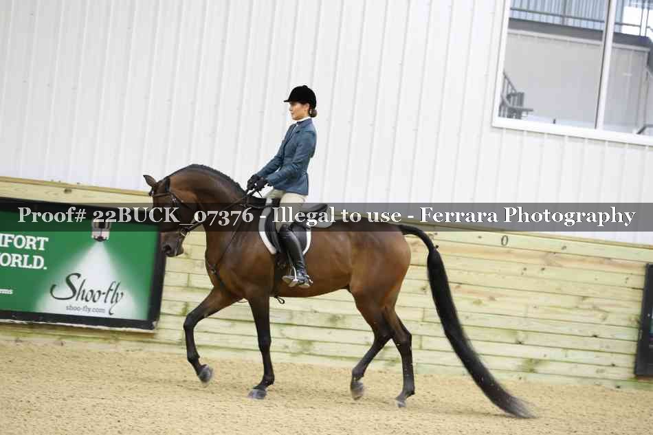 Proof 22BUCK_07376