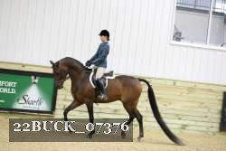 22BUCK_07376 proof