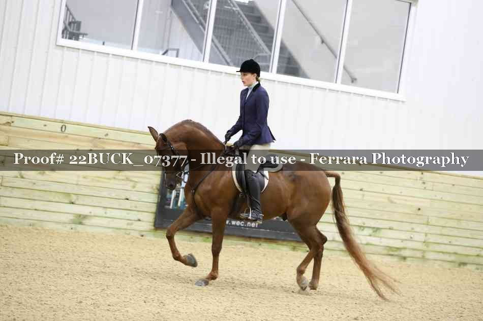 Proof 22BUCK_07377