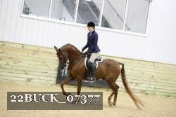 22BUCK_07377 proof