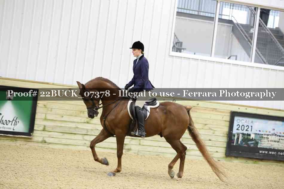 Proof 22BUCK_07378