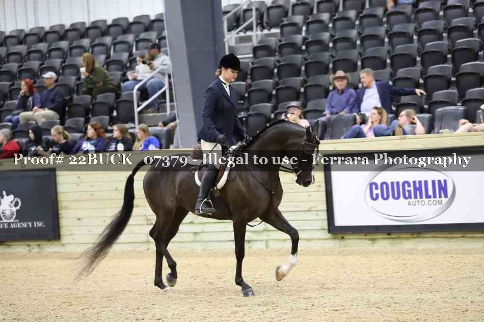 Proof 22BUCK_07379