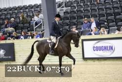 22BUCK_07379 proof