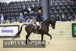 22BUCK_07380 proof