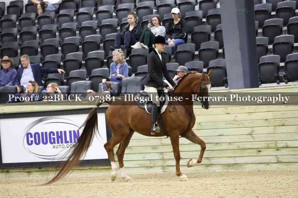 Proof 22BUCK_07381