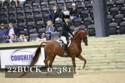 22BUCK_07381 proof