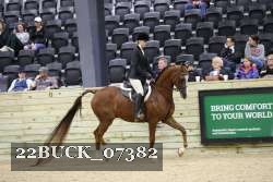 22BUCK_07382 proof