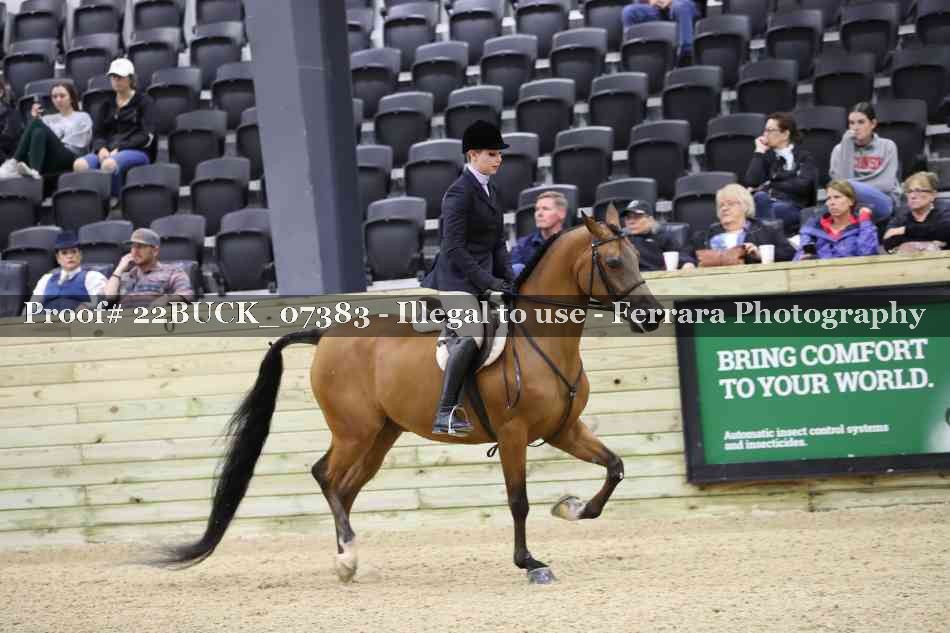 Proof 22BUCK_07383