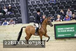 22BUCK_07383 proof