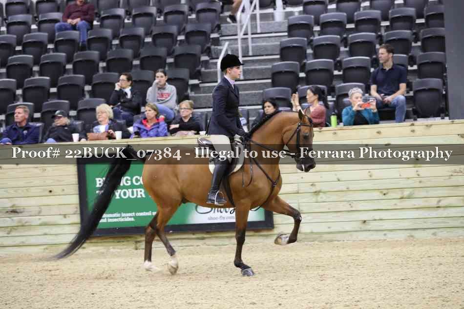Proof 22BUCK_07384