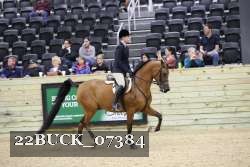 22BUCK_07384 proof