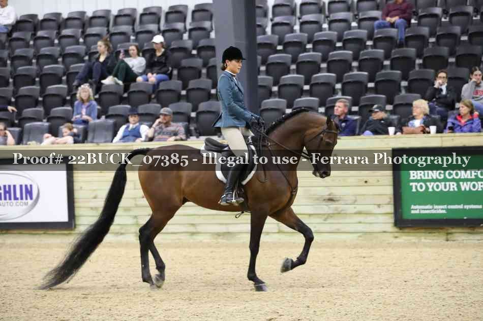 Proof 22BUCK_07385