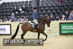 22BUCK_07385 proof