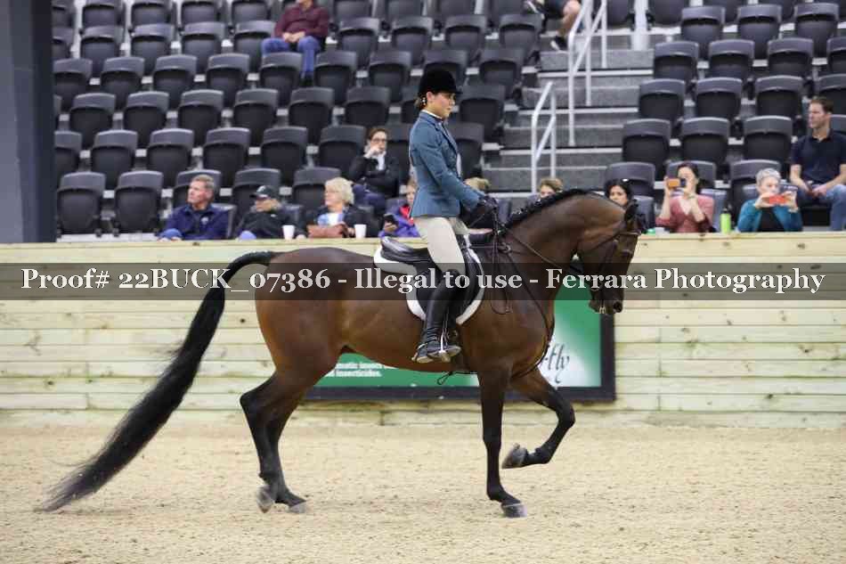 Proof 22BUCK_07386