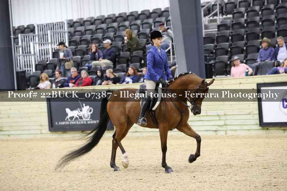 Proof 22BUCK_07387