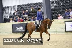 22BUCK_07387 proof