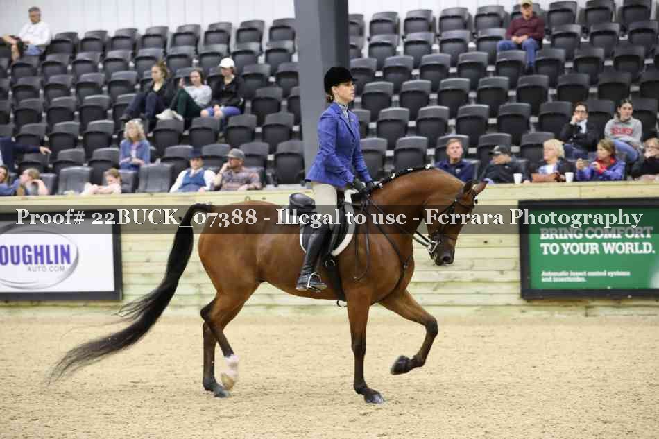 Proof 22BUCK_07388