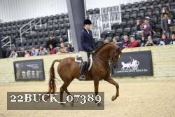 22BUCK_07389 proof