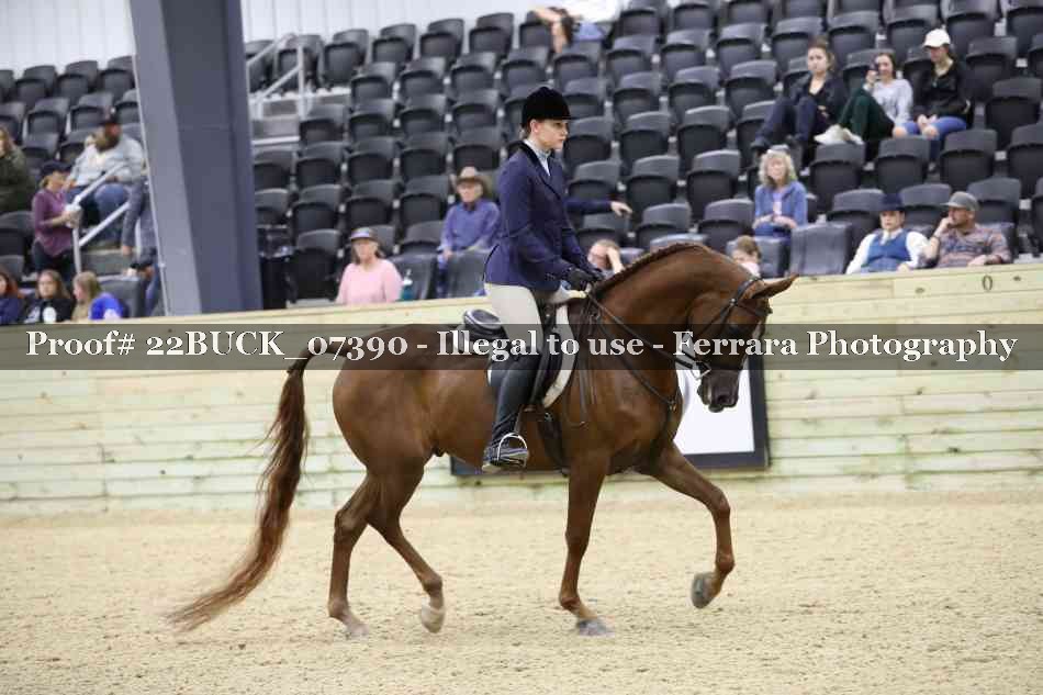 Proof 22BUCK_07390