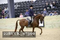 22BUCK_07390 proof