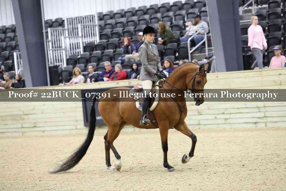 Proof 22BUCK_07391
