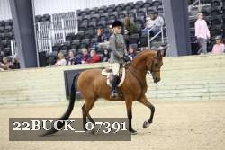 22BUCK_07391 proof